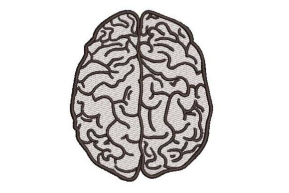 Human Brain Line Art