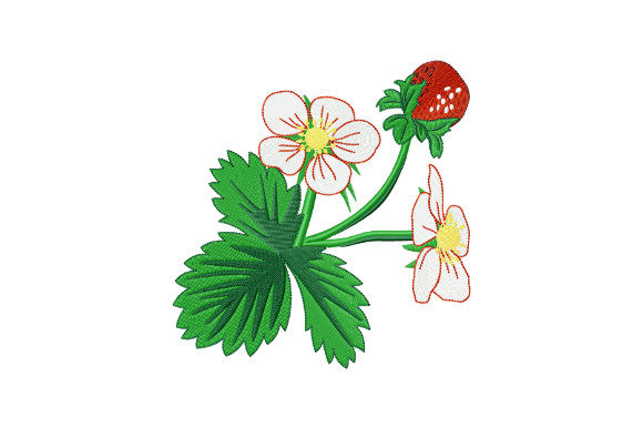Wild Strawberry